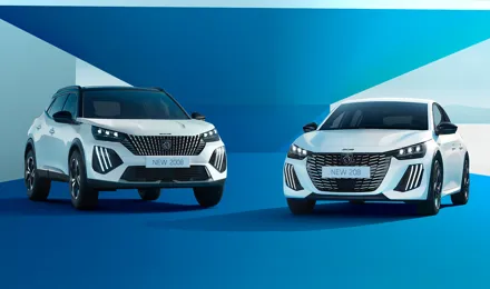 P Limitededition 1200X674